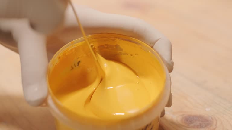 Professional Mold Removal in Proctor, VT