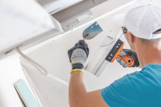 Best Water Damage & Mold Remediation  in Proctor, VT